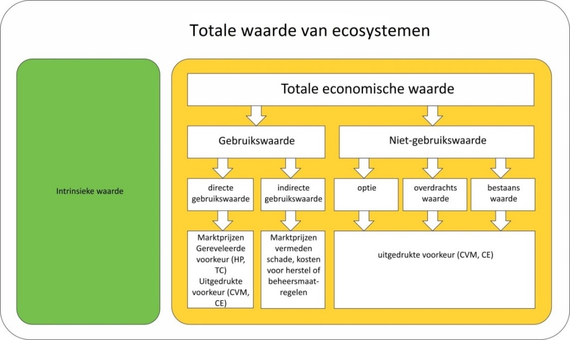Ecosystem services