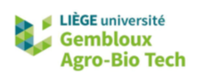 Logo Liege