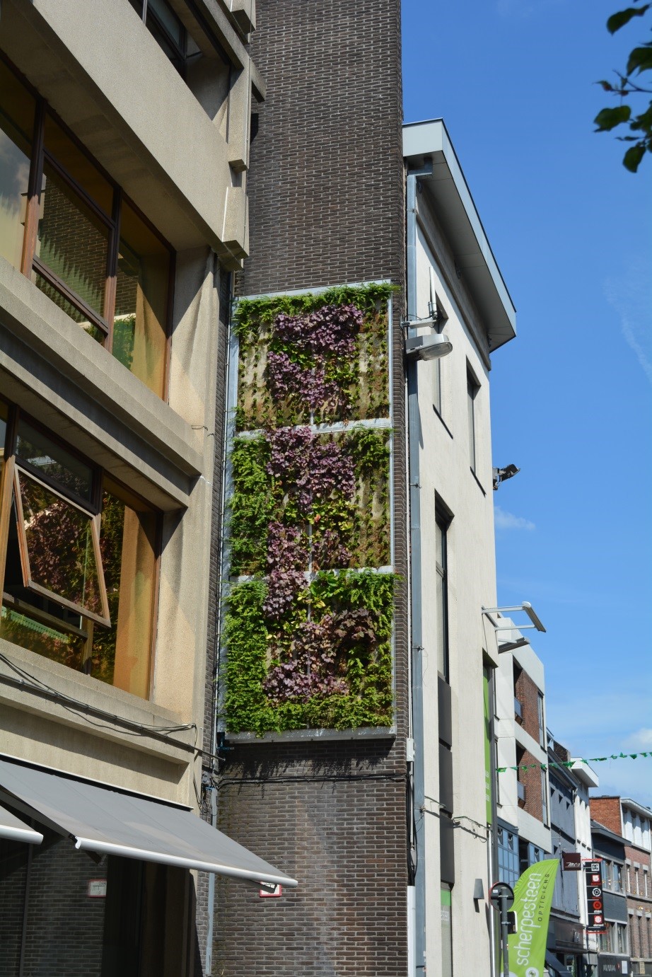 Gevelgroen