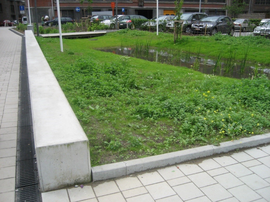 Wisselnatte standplaats