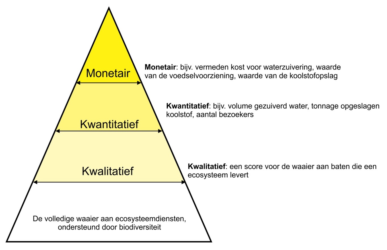 Waarderingspiramide
